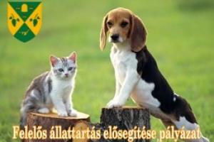 Ivartalanítás pályázat