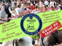 Szüreti felvonulás és mulatság